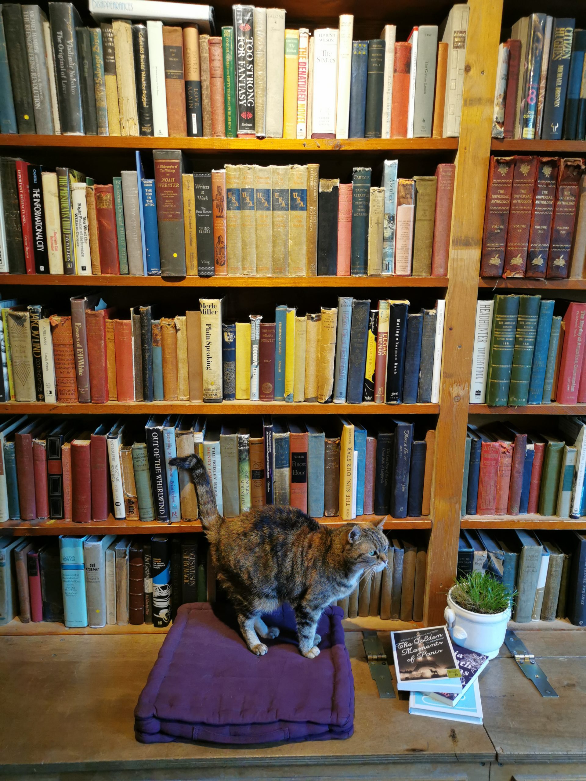 L'une des plus belles librairies parisiennes